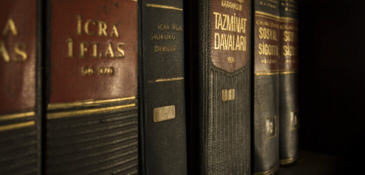 icra iflas piled book